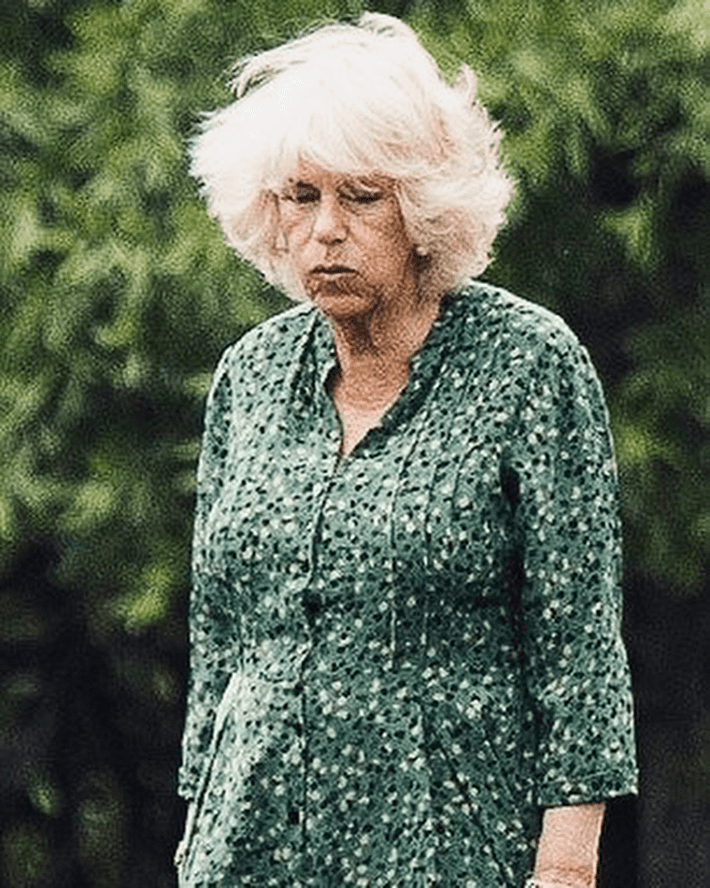 Còn đây là bức ảnh “dìm hàng” Công nương Camilla, người vợ thứ hai của Thái tử Charles.