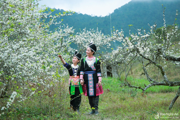 Cùng đón mùa Xuân vui. Ảnh: Sách Nguyễn.