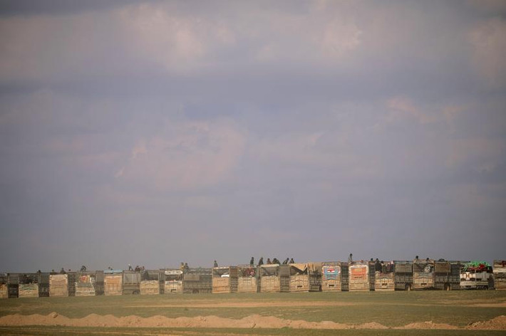 Những chiếc xe buýt chở dân thường đỗ gần Baghouz, tỉnh Deir Ezzor, ngày 11/2.