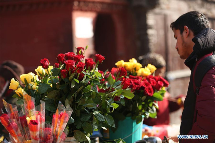 Có thể thấy, không khí ngày lễ Valentine 2019 ngập tràn ở khắp nơi trên thế giới, trong đó có khu vực Châu Á và Trung Đông. Ảnh: Người đàn ông chọn mua hoa hồng tặng người thương yêu trong dịp lễ Tình nhân tại Kathmandu, Nepal, ngày 14/2/2019. Ảnh: THX.