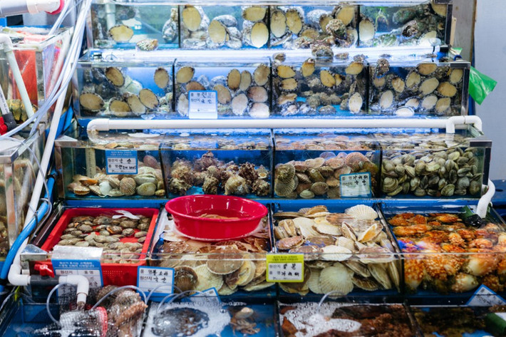 Khu chợ hoạt động tấp nập cả ngày, nhưng phiên đấu giá cá tươi diễn ra lúc 1h sáng hàng ngày mới là nét văn hóa đặc sắc của nơi đây. Du khách đến Noryangjin có thể tự tay lựa các loại hải sản đang còn tươi sống bên trong các bể chứa có bơm oxy. Sau đó, người bán sẽ cân và báo giá cho người mua. Quy trình mua sắm vô cùng đơn giản khiến bạn không cần phải biết tiếng Hàn Quốc cũng có thể dễ dàng tìm được món hải sản ưng ý.