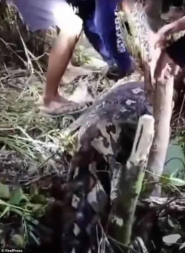 "Thật là đau đớn", Nurdin buồn rầu nói. Gia đình đã thu hồi thi thể của bà Hasia để làm tang lễ.