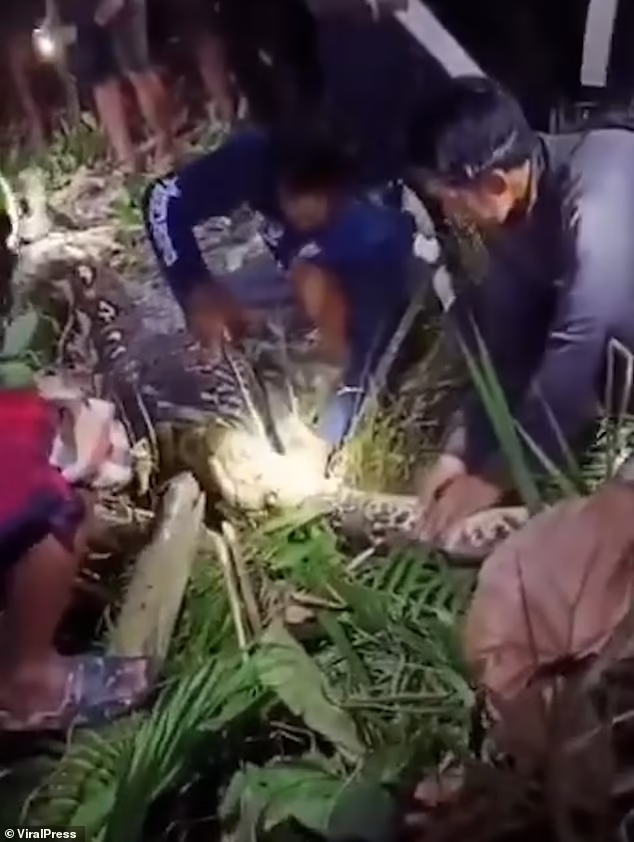 Con trai bà, Nurdin, kể lại rằng gia đình rất lo lắng khi bà Hasia chưa trở về nhà dù trời đã tối nên vội vàng đi tìm kiếm.