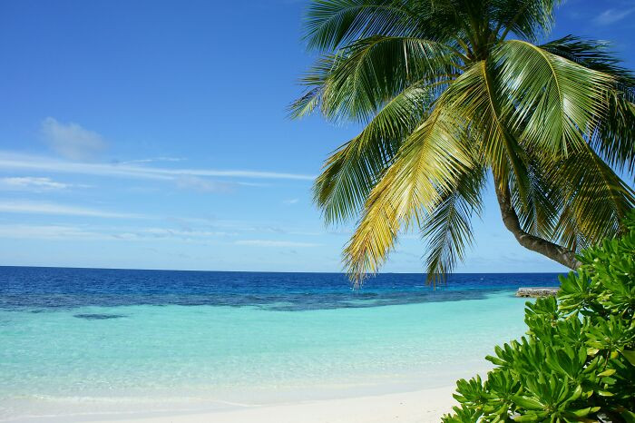Bãi biển ở Himandhoo, Maldives.