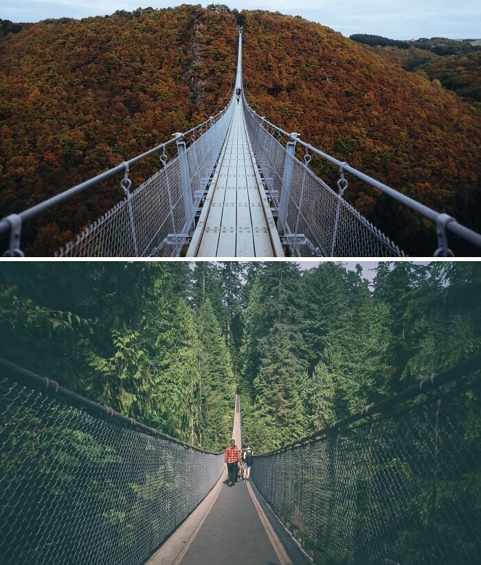 Cầu treo Geierlay, Đức, và cầu treo Capilano, Canada.