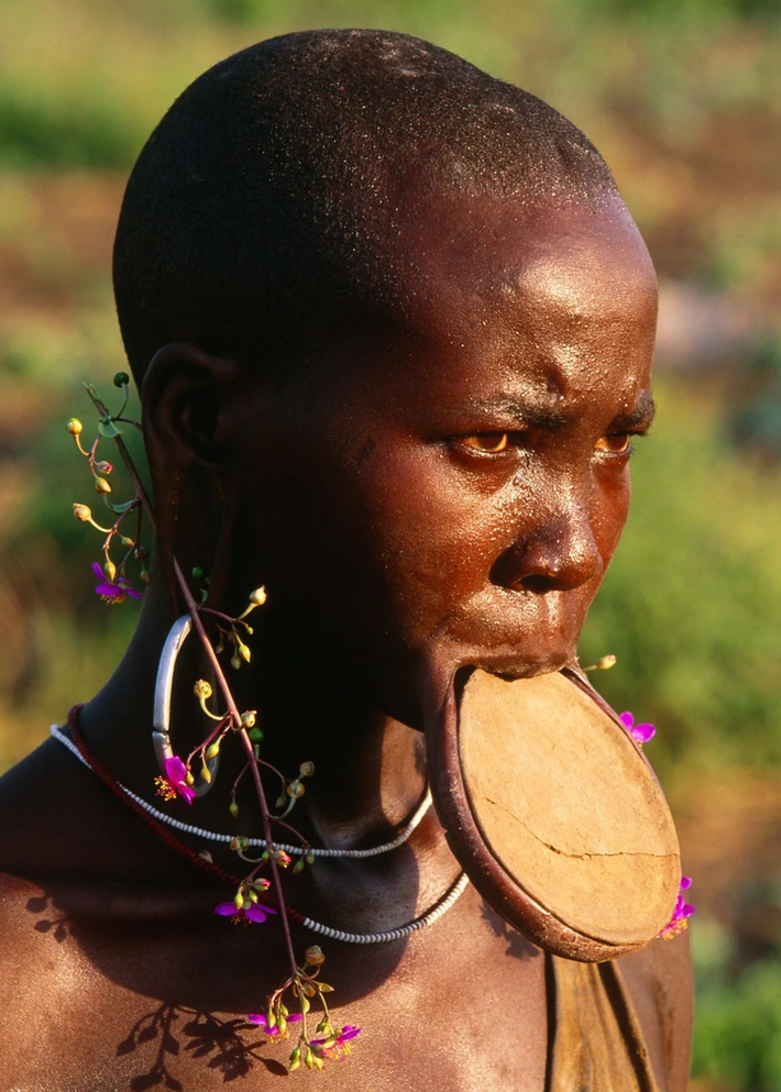 Phụ nữ thuộc bộ tộc Mursi ở Ethiopia có một tục lệ kỳ lạ là đeo đĩa vào môi dưới. Họ coi đó là tượng trưng cho vẻ đẹp của phái nữ. Theo Bright Side, "phụ kiện" này thường được phụ nữ mới cưới hoặc chưa kết hôn đeo nhiều hơn là phụ nữ đã kết hôn và có con. Họ thường đeo vào những dịp cụ thể và trong những nghi lễ quan trọng, chẳng hạn như đám cưới. (Nguồn ảnh: BS)