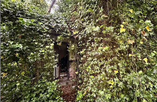 "Chúng tôi chuyến đến ngôi làng này 27 năm trước. Mọi chuyện vẫn vậy. Câu chuyện tôi nghe được là nó có thể thuộc sở hữu của hai anh em. Tất cả những gì chúng tôi biết là người chủ ban đầu của ngôi nhà đã qua đời", một phụ nữ sống đối diện ngôi nhà cho hay.