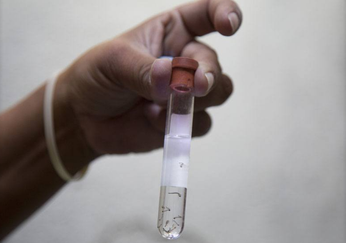 Dịch bệnh virus Zika bùng phát trở lại vào tháng 2/2016 và trở thành mối quan tâm toàn cầu. Tổ chức Y tế Thế giới khuyến cáo phụ nữ có thai không nên đi du lịch trong bối cảnh dịch bệnh Zika được thông báo bùng phát ở 23 quốc gia.