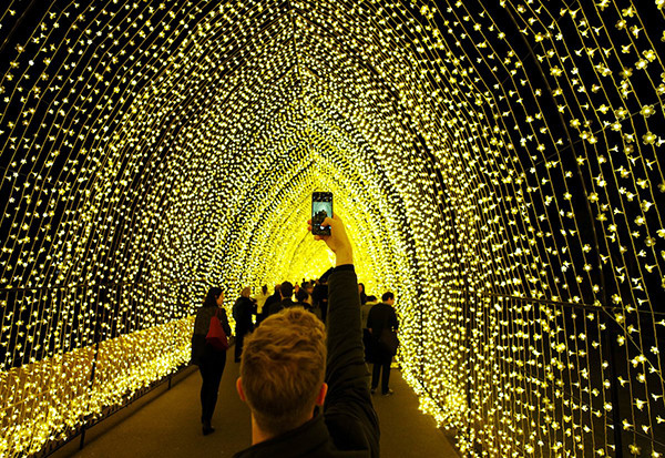 Khu vườn thực vật Sydney rực sáng trong lễ hội ánh sáng Vivid Sydney ở Australia.