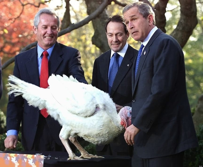 Biểu cảm ngạc nhiên của cựu Tổng thống Mỹ George W. Bush trước chú gà tây có tên “Tự do” trong dịp lễ Tạ ơn hồi năm 2001.