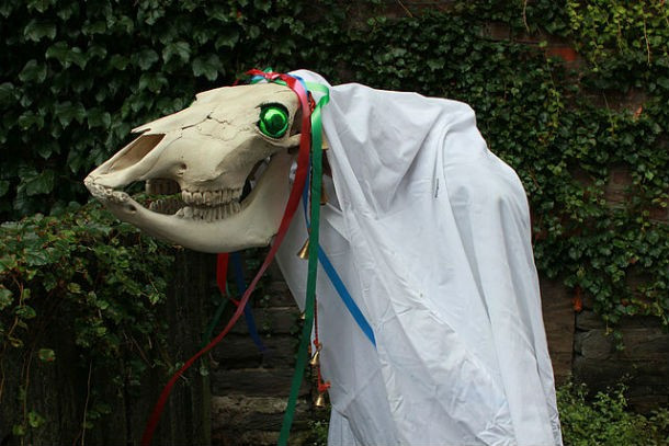 Vào dịp lễ Giáng sinh ở xứ Wales, người dân thực hiện nghi lễ truyền thống Mari Lwyd. Họ mang một chiếc đầu ngựa được cắm vào cọc gỗ tới từng nhà, vừa đi vừa hát những bài hát truyền thống.