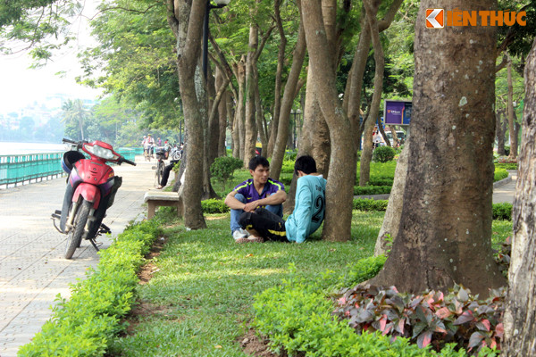 Hai nam thanh niên tranh thủ chui vào những hàng cây bên bờ hồ Tây để tránh nắng.