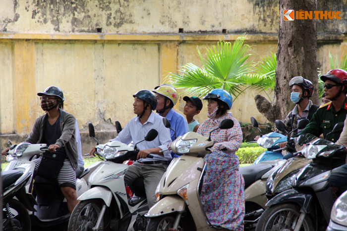 Việc những "người nhện" đu mình trên những cành cây sấu cao để hái quả thu hút sự chú ý của rất nhiều người đi đường.
