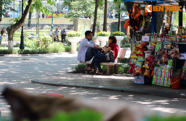 Các ghế đá dưới bóng cây đều có các cặp đôi ngồi tránh nắng nóng.