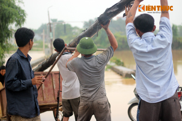 Để tránh xảy ra những trường hợp đáng tiếc do đi qua nước lũ người dân dùng những cây gỗ to chắn ngang đầu đường để cảnh báo.