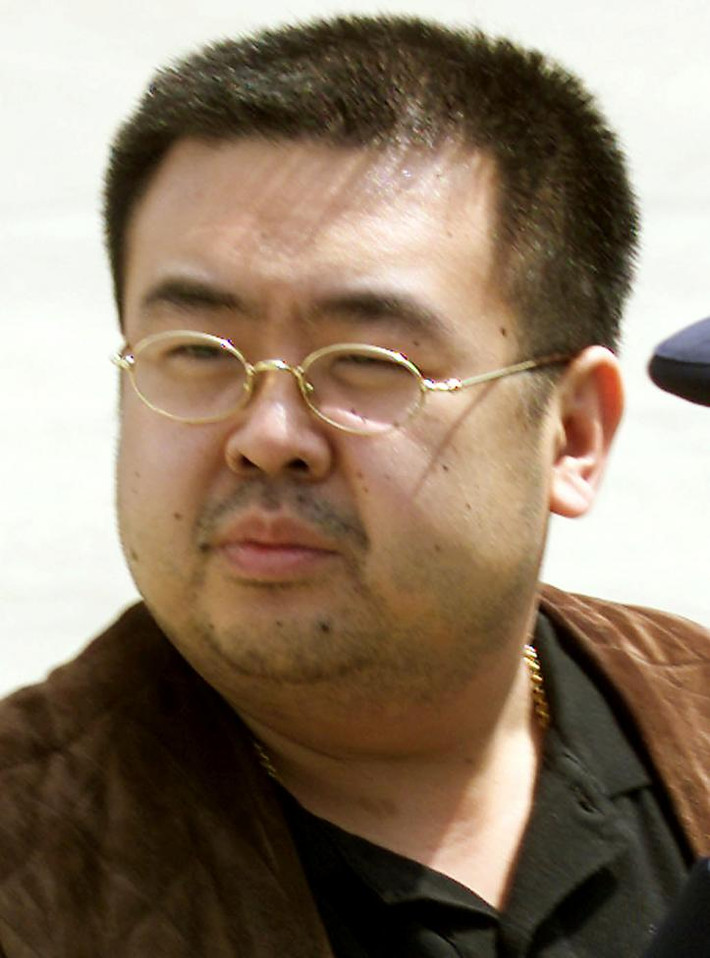 Ông Kim Jong-nam là con trai cả của cố lãnh đạo Triều Tiên Kim Jong-il với bà Sung Hae-rim. Cảnh sát Malaysia ngày 14/2/2017 đã xác nhận người đàn ông Triều Tiên thiệt mạng ở Malaysia hôm 13/2 chính là ông Kim Jong-nam, anh trai cùng cha khác mẹ của nhà lãnh đạo Kim Jong-un.