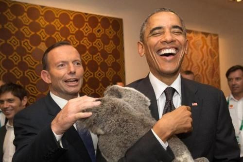 Ông Obama cười khoái chí khi bế chú koala khi tham dự Hội nghị thượng đỉnh G20 tại Australia năm 2014. Ảnh: White House.