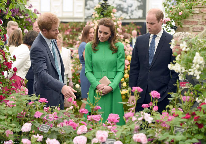 Hoàng tử Harry, 31 tuổi, cùng vợ chồng Hoàng tử William, tại buổi triển lãm.
