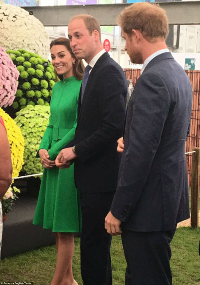 Hai vợ chồng Hoàng tử William cùng Hoàng tử Harry thích thú ngắm nhìn những bông hoa cúc mang tên tiểu Công chúa Charlotte.