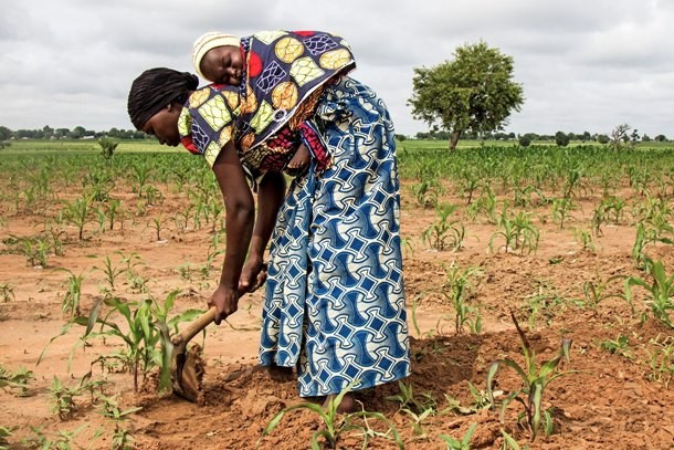 Tuổi thọ trung bình của người dân Cameroon là 49,97 tuổi.