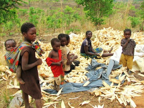 Zambia đối mặt với đại dịch HIV/AIDS lan rộng trong khi hệ thống chăm sóc y tế yếu kém, thiếu nước và điều kiện vệ sinh không đảm bảo,... Tuổi thọ trung bình của người dân Zambia chỉ là 46,93.