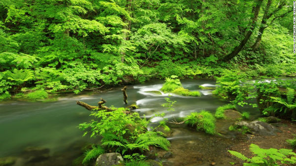 Vườn quốc gia Towada-Hachimantai ở tỉnh Aomori.