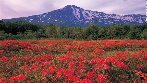 Núi Chokai nằm giữa tỉnh Akita và Yamagata.