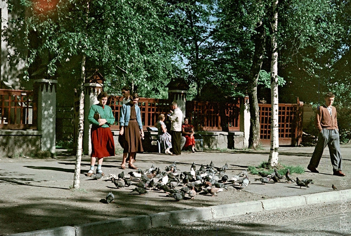 Người phụ nữ chăm chú nhìn đàn bồ câu ăn bên vỉa hè ở thành phố Minsk hàng chục năm trước. Ảnh: ER.