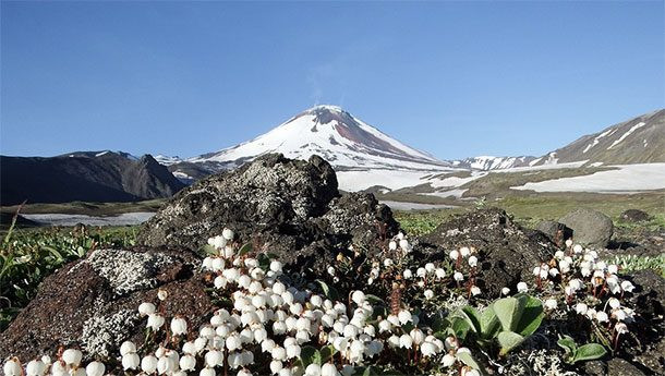 Núi Klyuchevskaya Sopka ở Nga là núi lửa hoạt động cao nhất ở cả Châu Âu và Châu Á. Ảnh: List25.