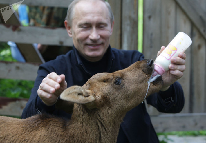 Ảnh chụp nhà lãnh đạo Nga trong chuyến thăm Vườn quốc gia Losiny Ostrov ở Moscow. Ảnh: Sputnik.