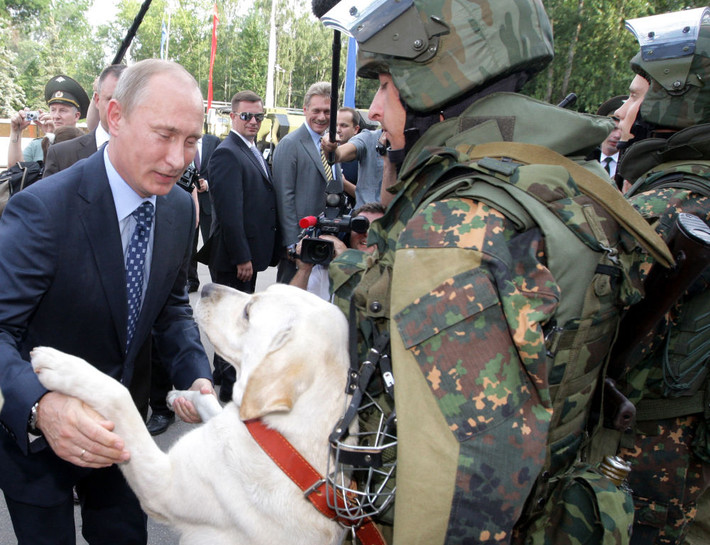 Ông Putin “bắt tay” một chú chó khi tới thăm một căn cứ gần thủ đô Moscow. Ảnh: Sputnik.
