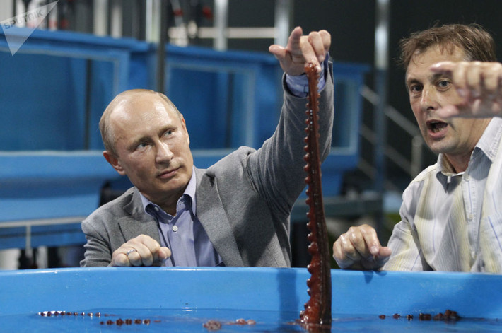 Ông Putin thăm Công viên thủy cung Primorsky trên đảo Russky ở Vladivostok. Ảnh: Sputnik.