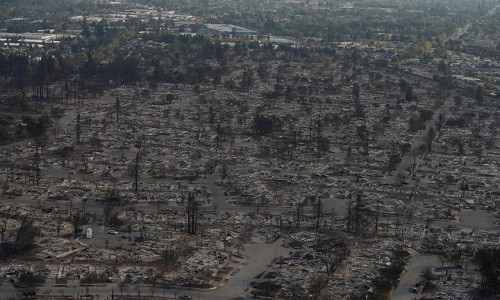 Thời tiết khô và lộng gió khiến tình hình cháy rừng càng thêm tồi tệ. Ảnh: Reuters.