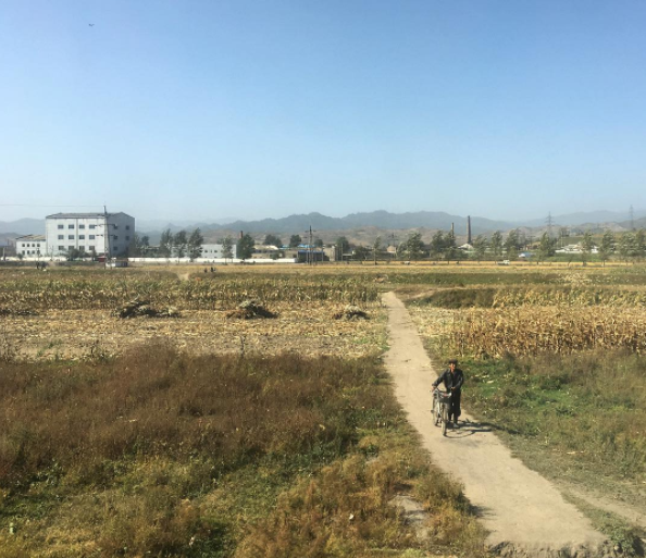 Một người dân Triều Tiên dắt xe đạp đi qua cánh đồng. Ảnh: Instagram.