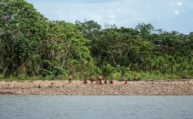 4. Bộ tộc Mashco Piro, Peru: Theo báo cáo, khoảng 15 bộ lạc không tiếp xúc với bên ngoài ở Peru, bao gồm cả Mashco Piro, tất cả đều phải đối mặt với những nguy cơ tiềm ẩn khi ngành khai thác dầu và khai thác gỗ phát triển. Ảnh: NY.