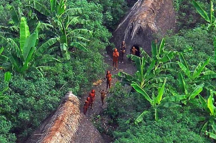 Ngoài ra, có rất ít thông tin về tộc người Kawahiva, cũng bởi vì họ chưa bao giờ có mối liên lạc với người ngoài. Họ duy trì cuộc sống bằng cách săn bắn, hái lượm và xây dựng những chiếc thang phức tạp để trèo lên cây lấy mật. Ảnh: MN.