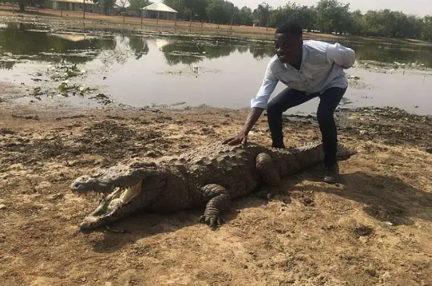 Theo UBF, tại ngôi làng Bazoule, cách thủ đô Ouagadougou của Burkina Faso 30 km, người dân sống cùng hơn 100 con cá sấu. (Nguồn ảnh: UBF, X, Amuzing Planet)