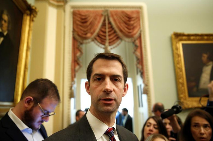 Vào tháng 5/2013, Tom Cotton được xuất ngũ sau 8 năm phục vụ trong Quân đội Mỹ. Ảnh: Reuters.