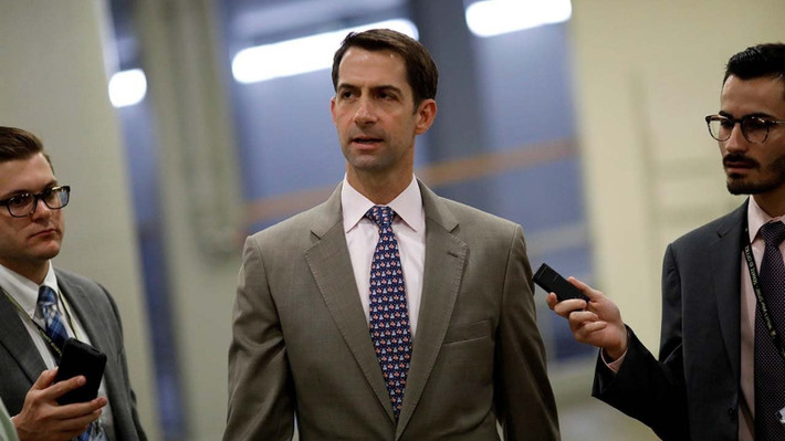Năm 1995, Tom Cotton được nhận vào trường Đại học Harvard. Sau 3 năm học, ông tốt nghiệp năm 1998. Tiếp đến, ông lấy bằng Tiến sĩ Luật của trường Luật Harvard năm 2002 rồi bắt đầu làm Thư ký cho Thẩm phán Jerry Edwin Smith trong một năm. Ảnh: CFR.