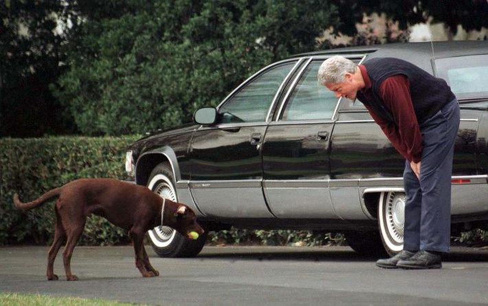 Tổng thống thứ 42 của Mỹ Bill Clinton còn có một thú cưng nữa đó là chú chó giống Labrador có tên Buddy. Ảnh: Ông Clinton chơi đùa với chú chó cưng Buddy ở bãi có phía nam của Nhà Trắng ngày 2/3/1998.