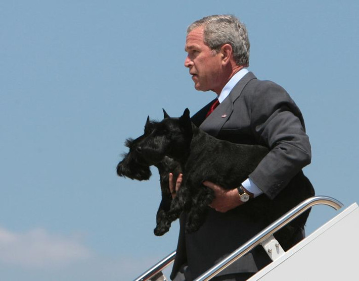 Một thú cưng nữa của Tổng thống George W. Bush là chú chó giống Scotland tên Barney. "Barney không bao giờ thảo luận về chính trị và luôn là một người bạn trung thành", ông Bush nói khi chú chó Barney chết năm 2013.