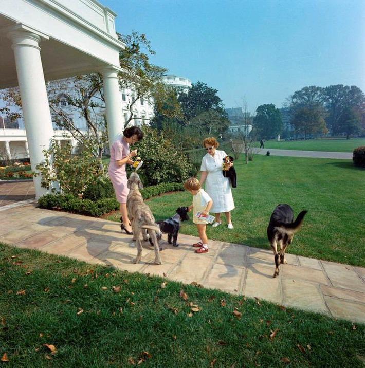 John F. Kennedy, Jr., con trai của Tổng thống Mỹ John F. Kennedy, cho chú chó Shannon ăn ở lối đi bộ bên ngoài Phòng Bầu Dục của Nhà Trắng ngày 24/10/1963. Chú chó cưng Wolf (trái) và Clipper đứng gần đó cùng với Thư ký Evelyn Lincoln (bên trái) và bảo mẫu Maud Shaw.
