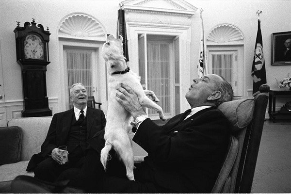 Tổng thống Lyndon B. Johnson hát với chú chó cưng Yuki của ông trong khi Đại sứ David Bruce ngồi nhìn trong Phòng Bầu dục của Nhà Trắng ngày 6/2/1968.