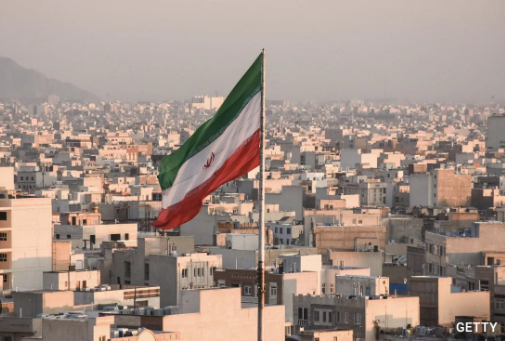 11. Mèo Ba Tư có nguồn gốc từ Iran. Ảnh: Getty.