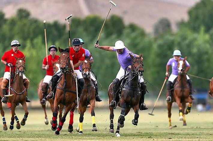 8. Polo không chỉ là một môn thể thao của phương Tây. Nó đã được chơi ở Iran vào đầu thế kỷ thứ 6 trước Công nguyên, chủ yếu là để huấn luyện cho các kỵ binh. Ảnh: TT.