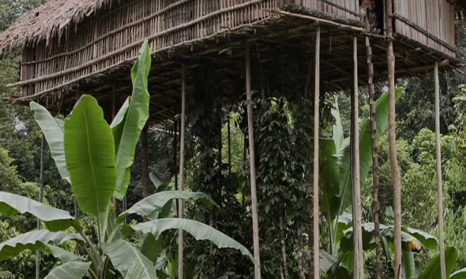 Một ngôi làng Korowai thường chỉ bao gồm 2 hoặc 3 ngôi nhà. Bộ tộc này sống bán du mục. Ảnh: AI.