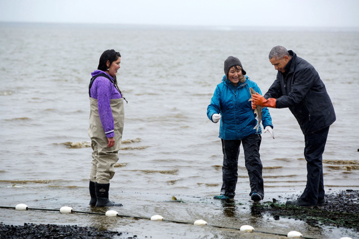 Ngày 2/9/2015: Tổng thống Obama cầm trên tay một con cá hồi tại bãi biển Kanakanak ở Vịnh Bristol, Alaska.