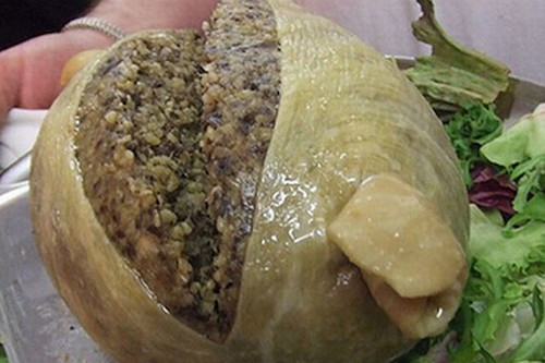 Casu Marzu là món pho mát có dòi ở Italy. Khi ăn miếng pho mát này, thực khách có thể cảm nhận được những con dòi lúc nhúc trong miệng. Món ăn kinh dị đến nỗi nó bị coi là vi phạm an toàn vệ sinh thực phẩm.