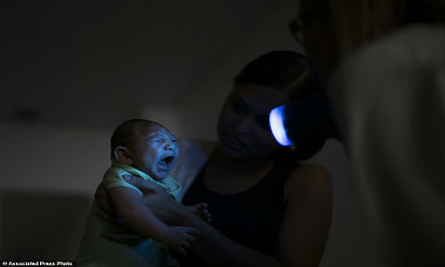 Virus Zika đang hoành hành tại Recife, bang Pernambuco, Brazil, khiến người dân “đứng ngồi không yên”. Ảnh: Daniele Ferreira dos Santos bế cậu con trai, Juan Pedro, sau khi bé vừa được kiểm tra mắt tại một trung tâm y tế ở Recife, nơi hàng trăm ca nghi mắc dị tật đầu nhỏ được cho là liên quan đến virus Zika vừa được phát hiện.