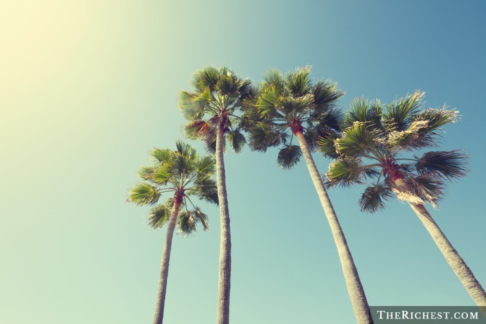 Tại California, chính quyền bang ra điều luật tôn trọng loài vật. Nếu một con ếch nào đó chết trong cuộc thi nhảy ếch tại California, nó sẽ không bị làm thịt.